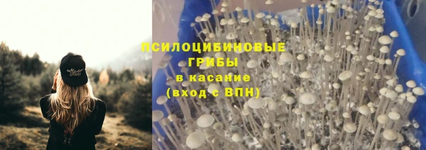 apvp Бородино