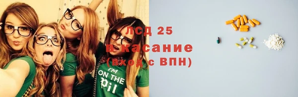 apvp Бородино