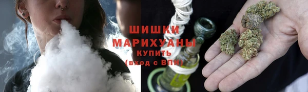 прущие грибы Верхний Тагил