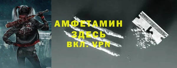 apvp Бородино