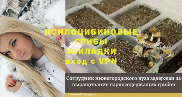 прущие грибы Верхний Тагил