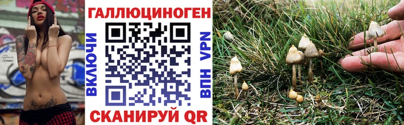 Галлюциногенные грибы мухоморы  Катайск 